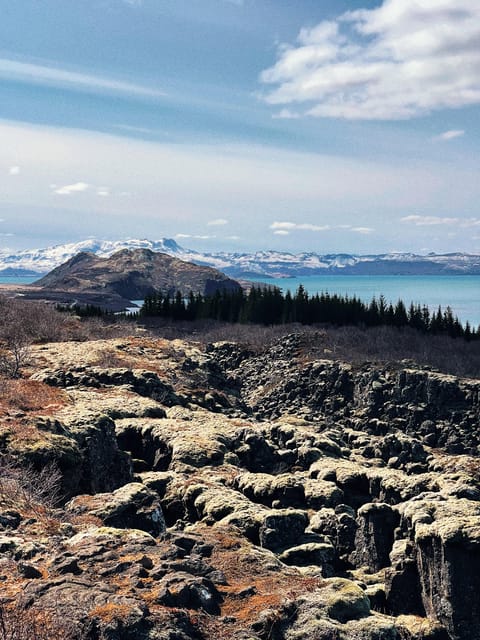 From Reykjavik: Classic Golden Circle Full Day Tour - Brú Horsefarm and Efsti Dalur Ice Cream: The Fun, Almost-Unexpected Stops
