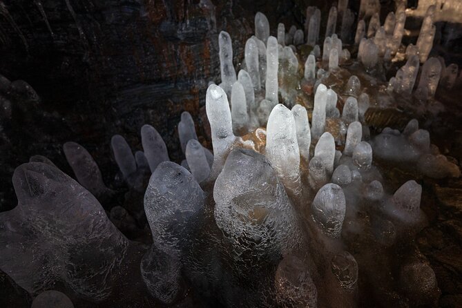 From Reykjavík: Evening Lava Tunnel Tour and Northern Lights Tour - Key highlights worth planning around