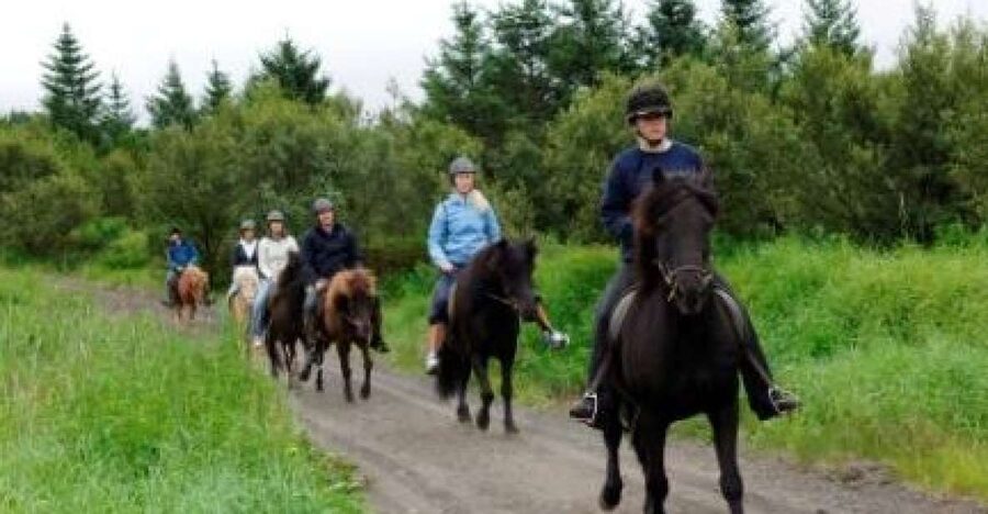 From Reykjavik: Full-Day Horse Riding & Golden Circle Tour - Laxnes Horse Farm: the Icelandic horse experience you’ll remember