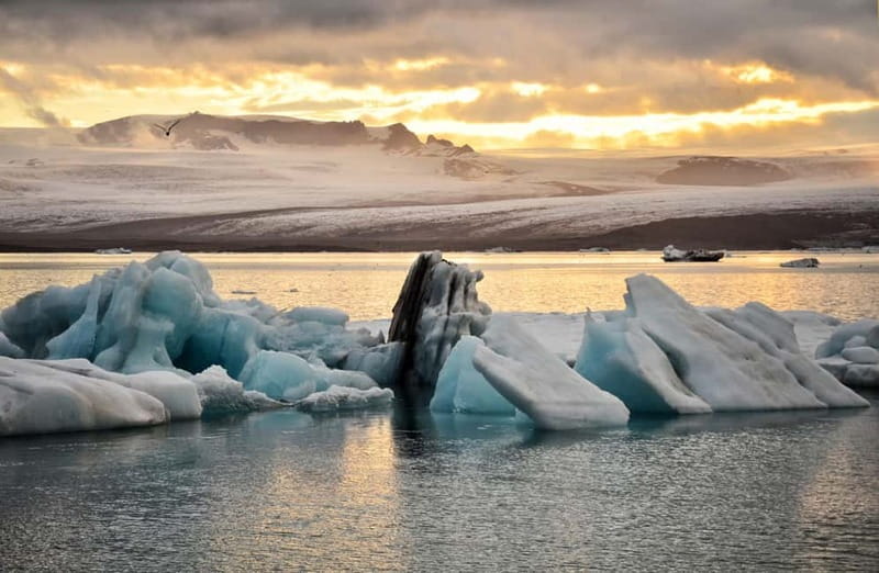 From Reykjavik: Glacier Lagoon and Fjaðrárgjúfur Canyon Tour - Fjaðrárgljúfur Canyon: The Summer-Only Stop You Should Plan Around
