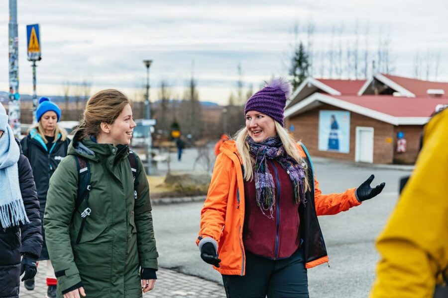From Reykjavik: Golden Circle and Glacier Snowmobile Tour - Price and what you actually get for $284