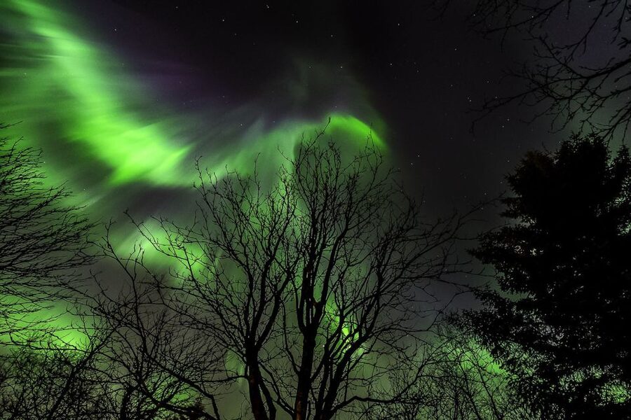 From Reykjavik: Golden Circle and Northern Lights Tour - Northern Lights hunting: how the guide helps you when the sky is slow