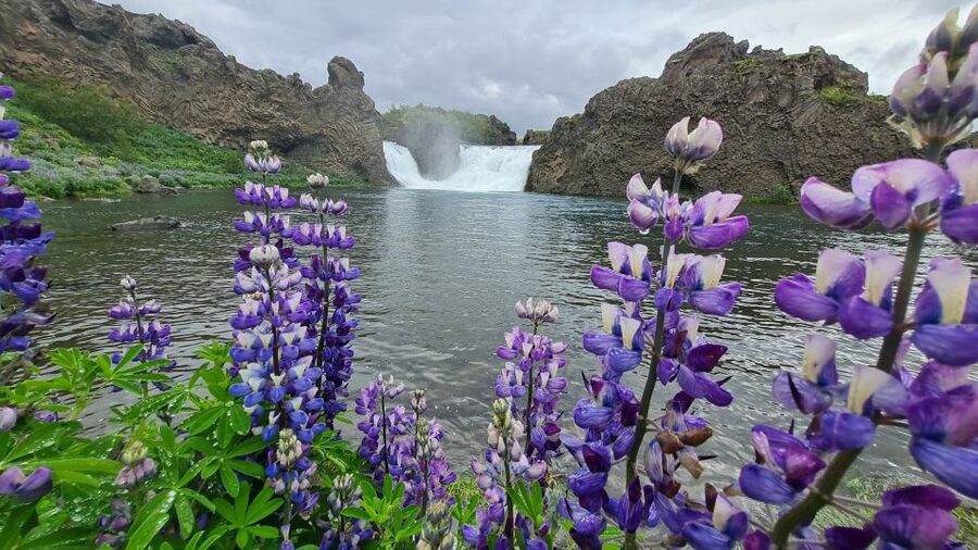 From Reykjavik: Highlands Jeep Tour & Landmannalaugar Hike - Reykjavik pickup, 14 hours of highlands, and what you’re really paying for