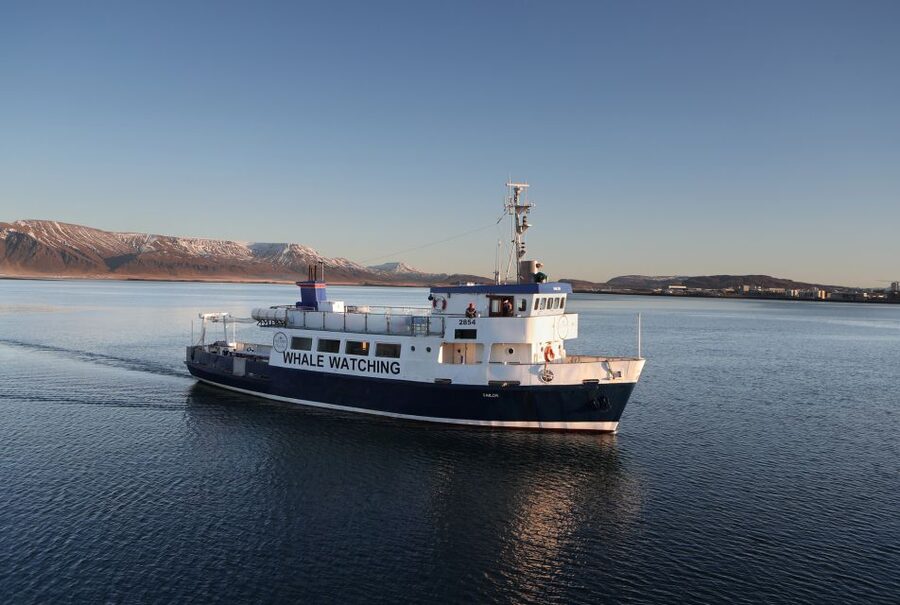 From Reykjavik: New Years Fireworks by Boat - Key things to know before you go