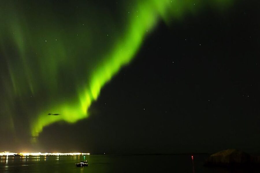 From Reykjavik: New Years Fireworks by Boat - Price, what’s included, and where the extra costs might show up