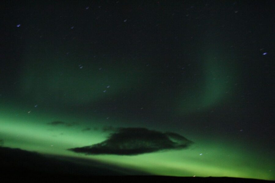 From Reykjavik: Northern Lights Boat Cruise - Food, bar, and onboard comfort: what you get with the $101 price