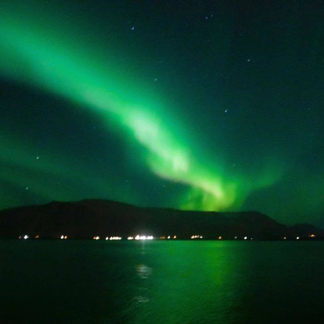 From Reykjavik: Northern Lights Boat Cruise - Logistics that affect your comfort more than you’d think