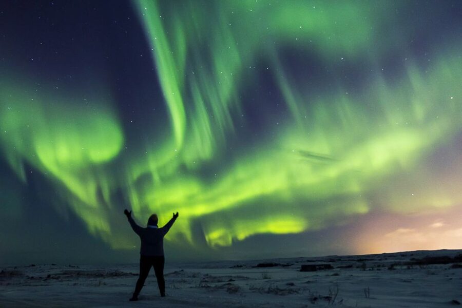 From Reykjavik: Northern Lights Bus Tour with Hot Cocoa - Northern Lights bus hunting: why this is the smart way to do it