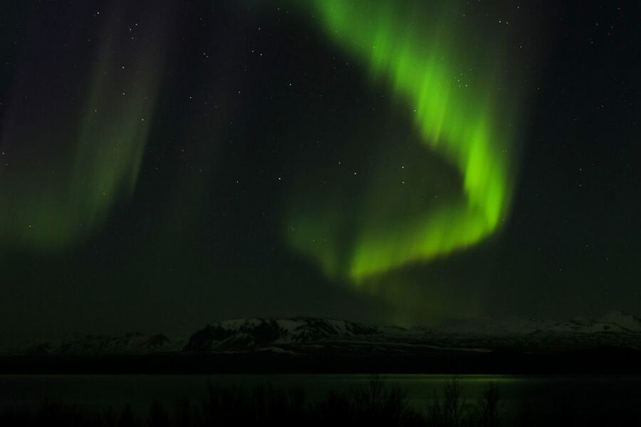 From Reykjavik: Northern Lights Bus Tour with Hot Cocoa - Should you book this Northern Lights bus tour?