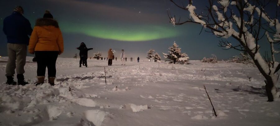 From Reykjavik: Northern Lights Chase with Expert Guide - Northern Lights hunting is really a cold-sky strategy