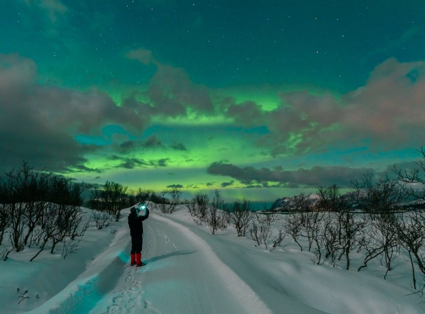 From Reykjavik: Northern Lights Chase with Expert Guide - Dark-sky photo stops beyond the city glow