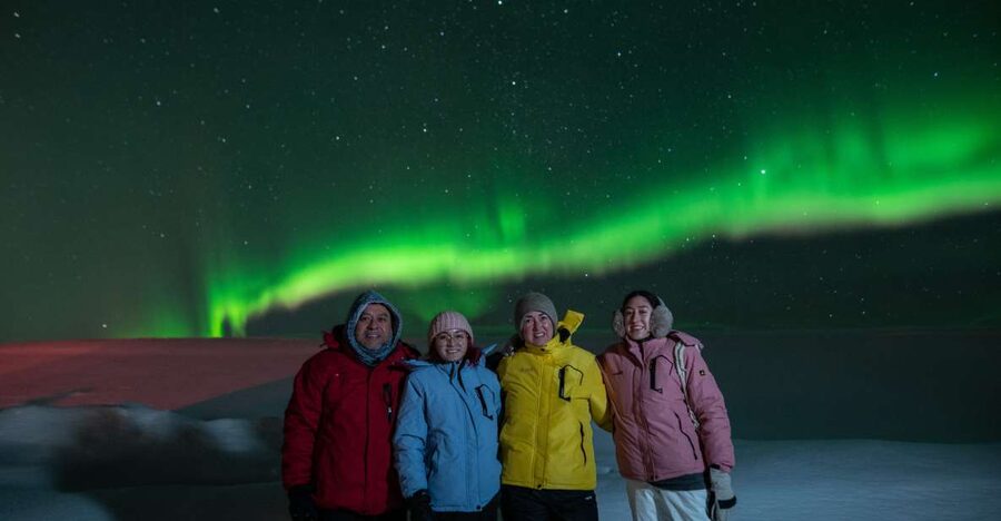 From Reykjavik: Northern Lights Guided Tour with Photos - Pickup, Timing, and Group Size: What to Expect in the Van