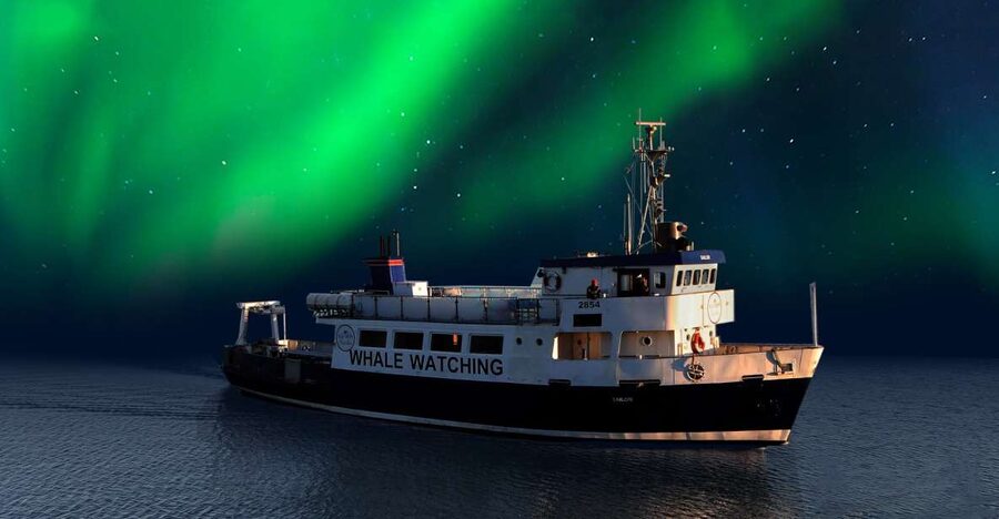 From Reykjavik: Northern Lights Sightseeing Cruise - Key points