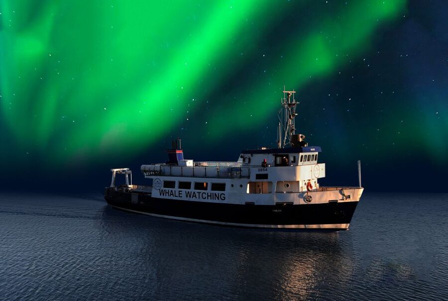 From Reykjavik: Northern Lights Sightseeing Cruise - Two decks, one mission: choosing your spot when the wind bites