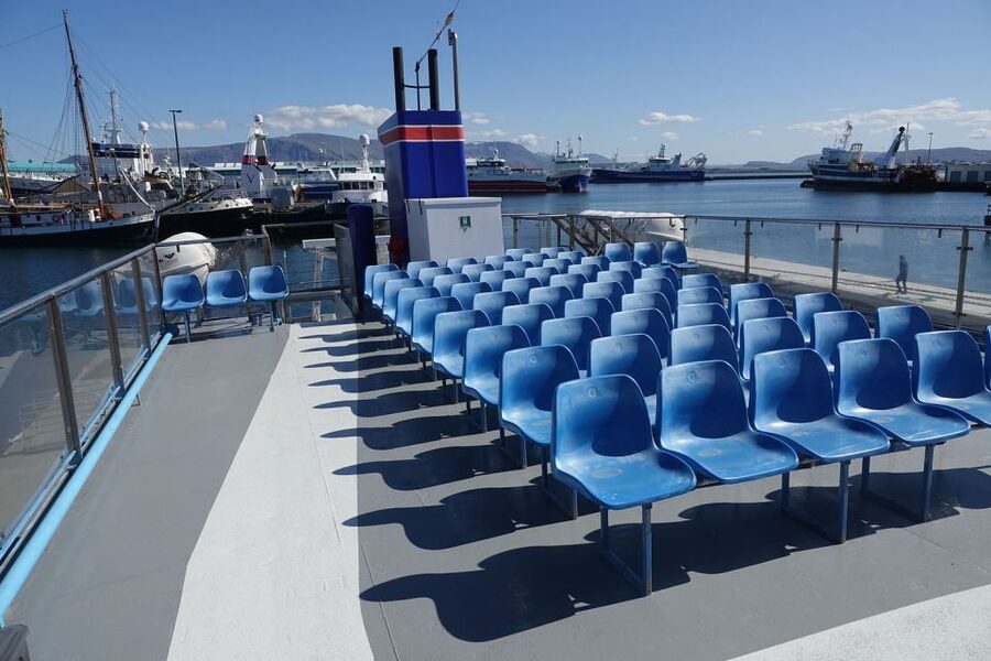 From Reykjavik: Northern Lights Sightseeing Cruise - Leaving city light behind: what the cruise actually does during the hunt