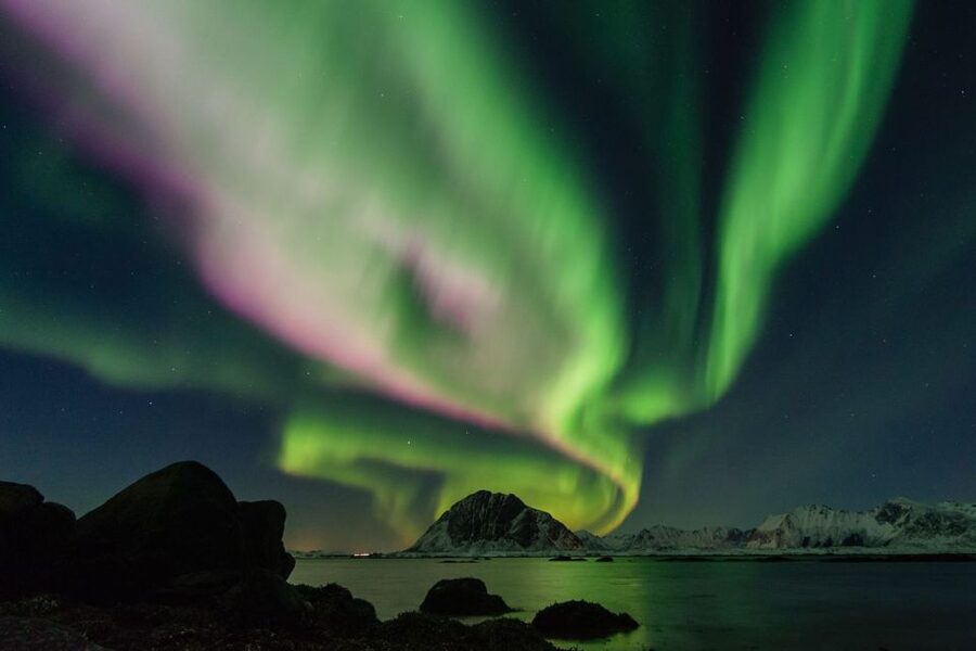 From Reykjavik: Northern Lights Sightseeing Cruise - When the lights finally show: how the guide help changes your results