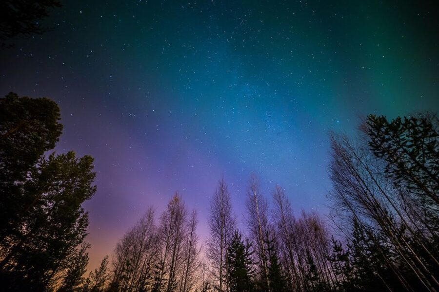 From Reykjavik: Northern Lights Tour - Price and value: $69, plus the free second chance
