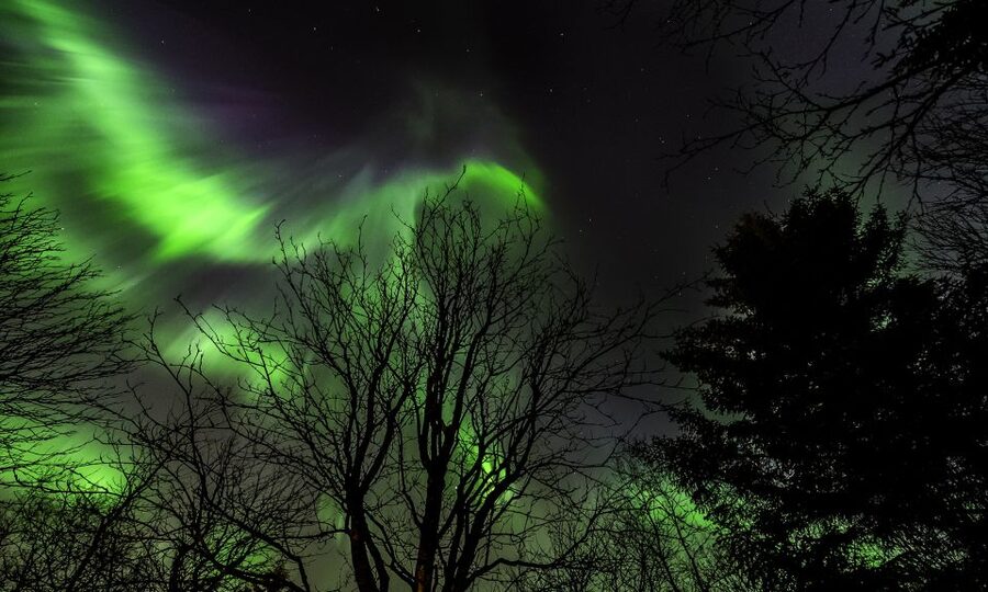 From Reykjavik: Northern Lights Tour with Lifetime Guarantee - Northern Lights from Reykjavík: why a guided bus hunt beats DIY