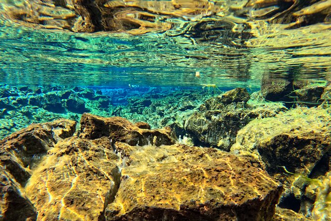 From Reykjavik- Silfra Snorkeling transfer included - Equipment, Underwater GoPro Photos, and What You Should Bring