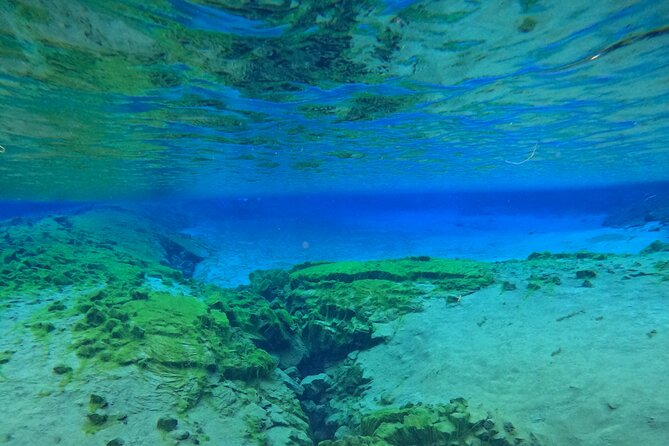 From Reykjavik- Silfra Snorkeling transfer included - The Snorkeling Experience Itself: Float Time, Small Moments, and Real Comfort