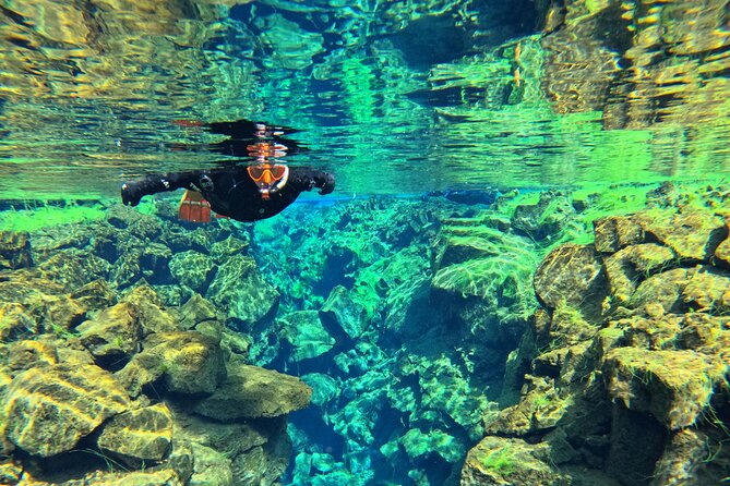 From Reykjavik- Silfra Snorkeling transfer included - Guides Like Kevin, Ana, and Cristo: Why Instruction Matters