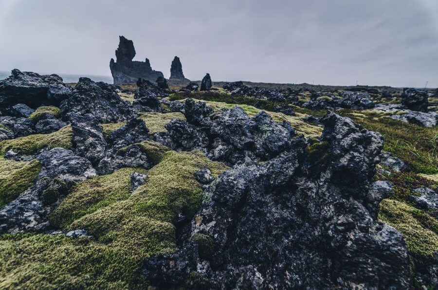 From Reykjavik: Snæfellsnes Full-Day Tour with Homemade Meal - Ytri Tunga seals: when the tour turns playful