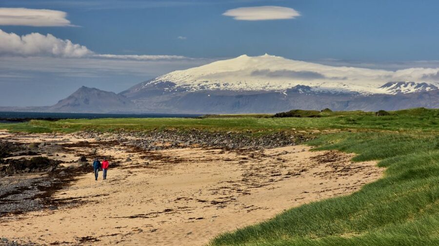 From Reykjavik: Snaefellsnes - Small Group, Lunch Included - Ytri Tunga beach: seals in their real setting