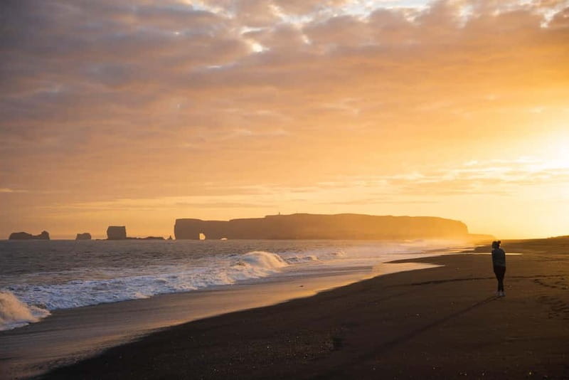 From Reykjavík: South Coast Highlights Day Tour - Gljúfrabúi and Other Canyon-Style Details You Might Not Expect