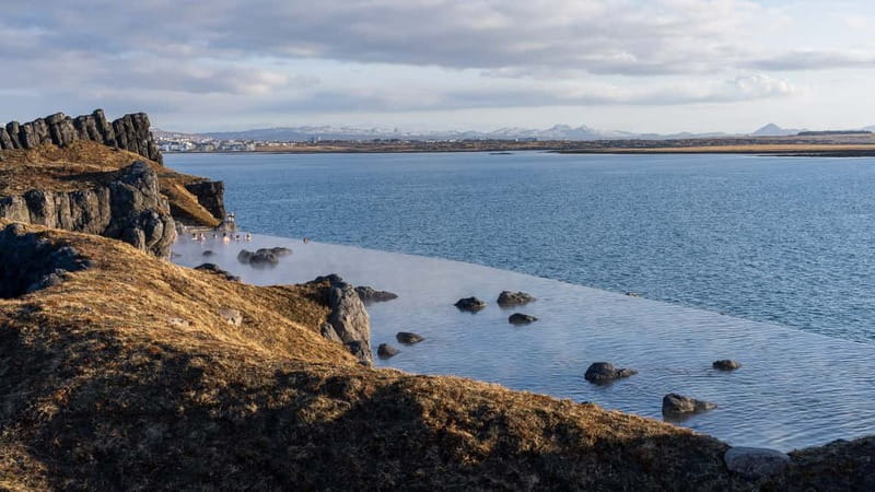 From Reykjavik: South Coast & Sky Lagoon Small-Group Tour - Seljalandsfoss to the Sky Lagoon: turning cold chaos into warm calm
