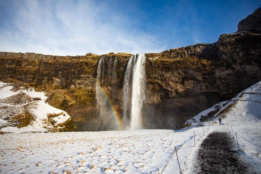 From Reykjavik: South Coast Tour & DC-3 Plane Wreck - Price and Value: Why $186 Makes Sense Here