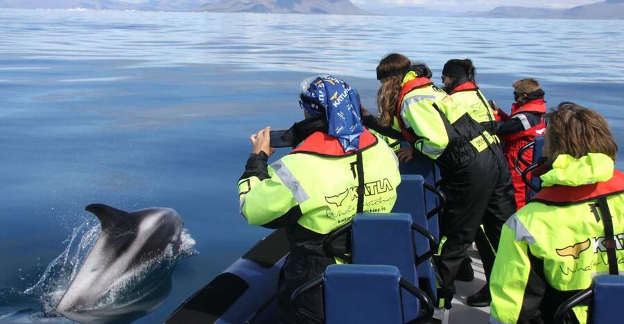 From Reykjavik: Whale Watching Tour by Speedboat - Getting Set at Ægisgarður 5G and Reykjavik’s Old Harbor