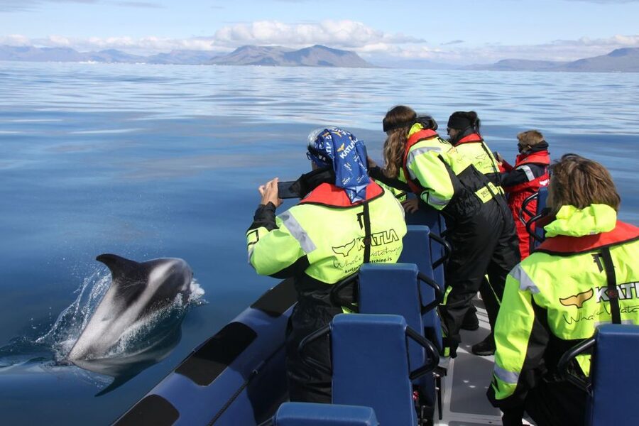 From Reykjavik: Whale Watching Tour by Speedboat - Leaving the Harbor: Harpa and Sun Voyager Before the Wildlife Work