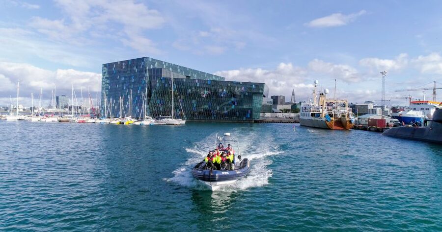 From Reykjavik: Whale Watching Tour by Speedboat - Gear and Clothing: What Matters More Than You Think