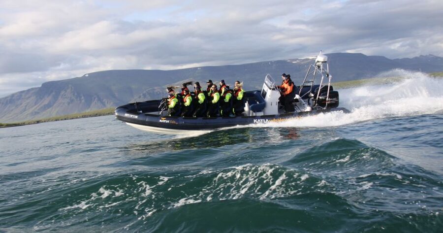 From Reykjavik: Whale Watching Tour by Speedboat - Price and Value: What $192 Gets You in Real Terms
