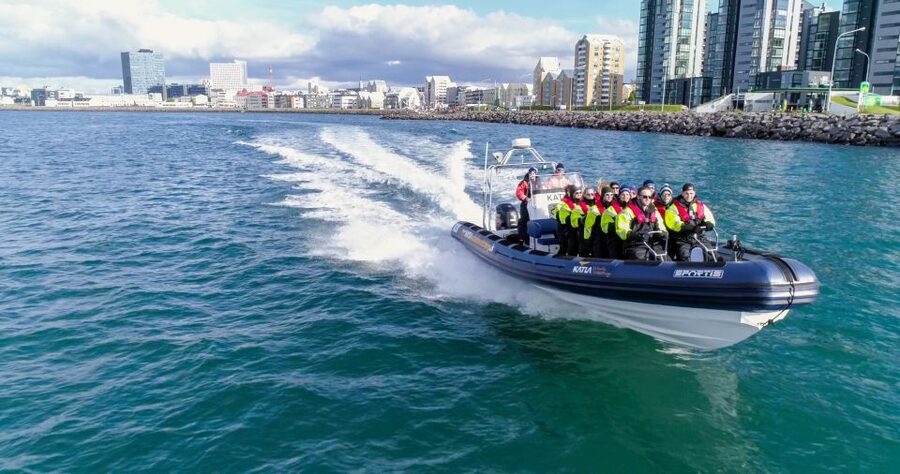 From Reykjavik: Whale Watching Tour by Speedboat - The New RIB Ride: Fast, Fun, and Sometimes Bumpy
