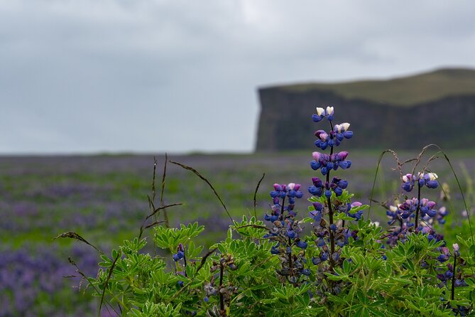 Full-Day Private Tour to Explore South Coast of Iceland - Key Things You’ll Remember From This South Coast Day