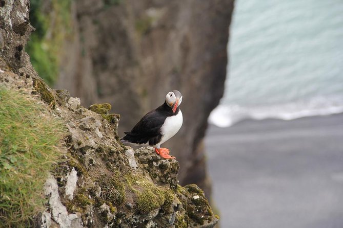 Glacier Lagoon, Diamond Beach, Black Sand Beaches and Waterfalls - Black Sand Beaches: Reynisfjara and Vikurfjara (Danger Is Part of the View)