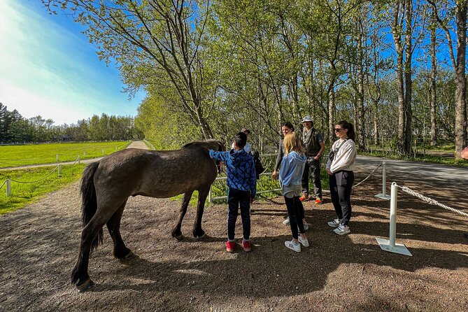 Golden Circle and Lunch at Fridheimar Tomato Farm - with photos - Price and value: what $255 really buys you