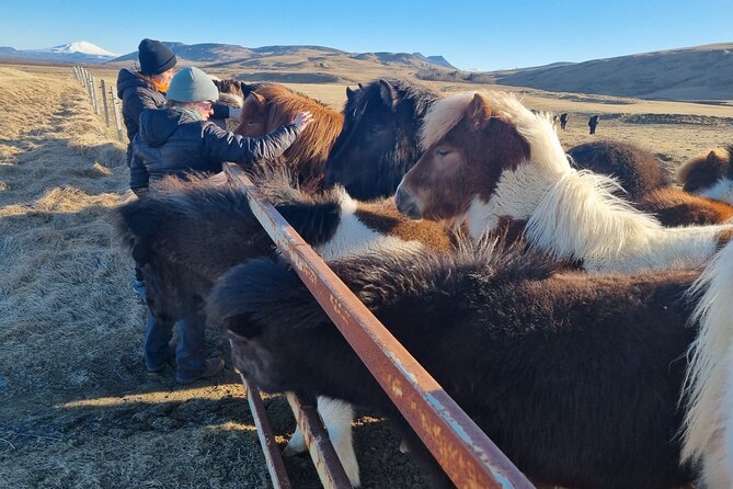 Golden Circle Experience - Private Eco Tour - Stop 5: Gullfoss waterfalls and the viewpoints that matter