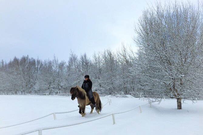 Golden Circle, Fridheimar Farm & Horses Small Group Tour from Reykjavik - Golden Circle with Reykjavik pickup: fewer hassles, more time outside
