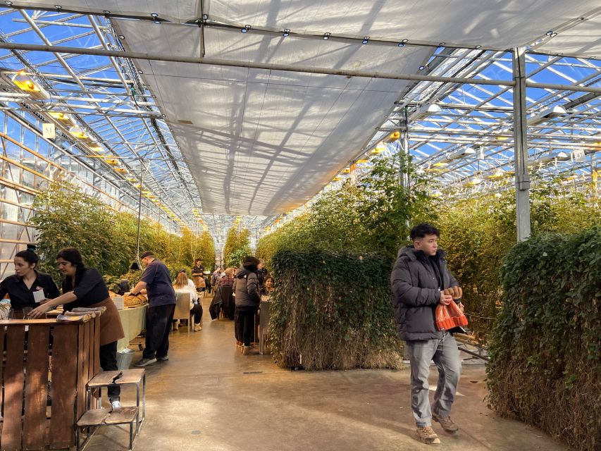 Golden circle, hot spring bakery, tomato farm private tour - What to bring (so the day feels easy, not annoying)