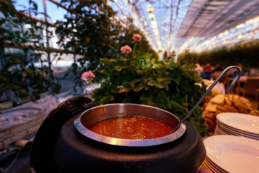 Golden Circle & Lunch at Fridheimar Tomato Farm- with photos - Þingvellir National Park: Walking Between the Plates
