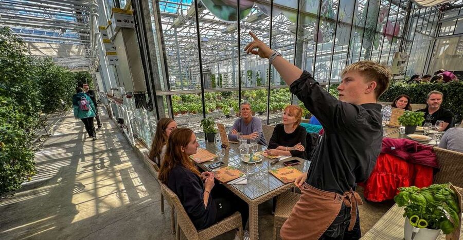 Golden Circle & Lunch at Fridheimar Tomato Farm- with photos - Value Check: What $253 Buys You (and What It Saves You From)
