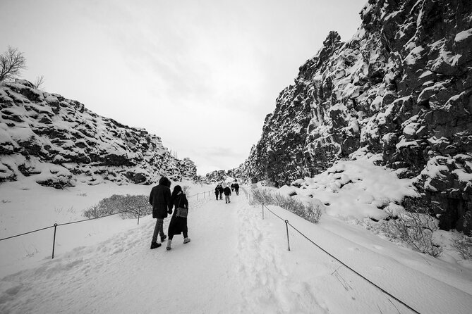 Golden Circle, Northern Lights and Blue Lagoon Tour with Ticket - Golden Circle, Blue Lagoon, aurora: what this tour really feels like