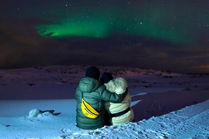 Golden Circle & Northern Lights Tour from Reykjavik - Golden Circle and Northern Lights: a long day with a simple promise