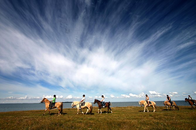 Golden Circle & Viking Horse Experience - Price and Value Check: Is $191.08 Worth It?