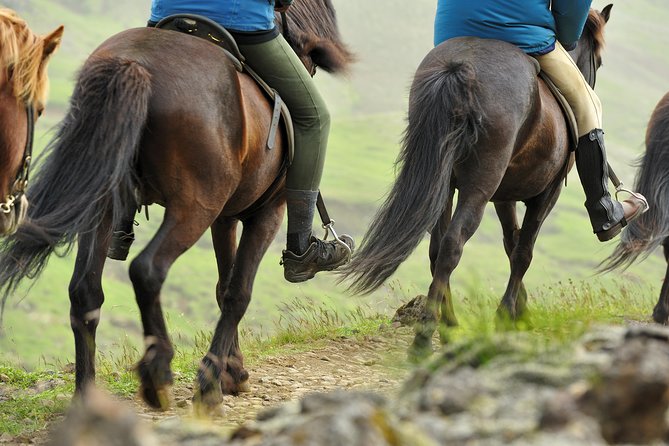 Golden Circle & Viking Horse Experience - Þingvellir National Park: Walking the Lava Canyon Part of Iceland’s Core Story