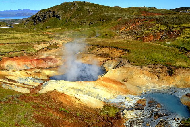 Helicopter tour from Reykjavik: Hengill Area with at site landing - Hengill Geothermal Area Landing: Your Time On The Ground