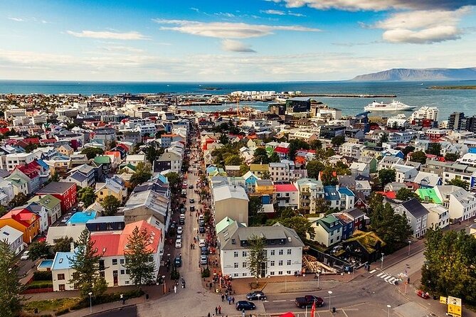 Helicopter Tour: Reykjavik City with landing at Mount Esja - The Blue-Water Lake Stop: What you’re likely to spot