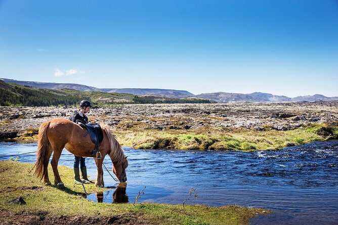 Horseback Riding Tour in Iceland - The 50-Minute Icelandic Horse Ride: What You Actually Get